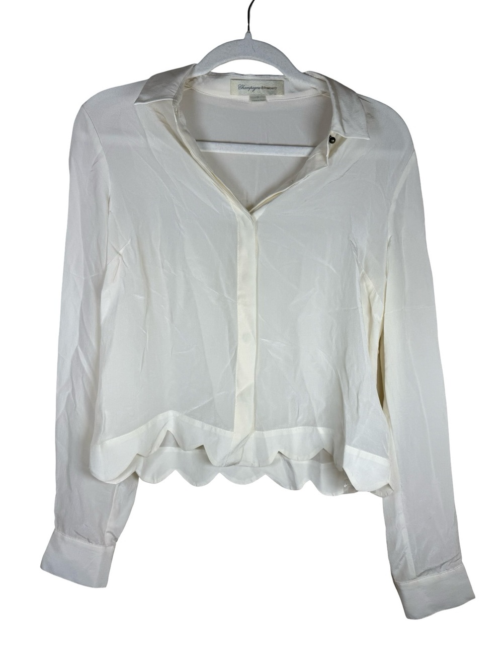 NWOT 100% Silk CHAMPAGNE & STRAWBERRY Anthro Silk top Womens size S